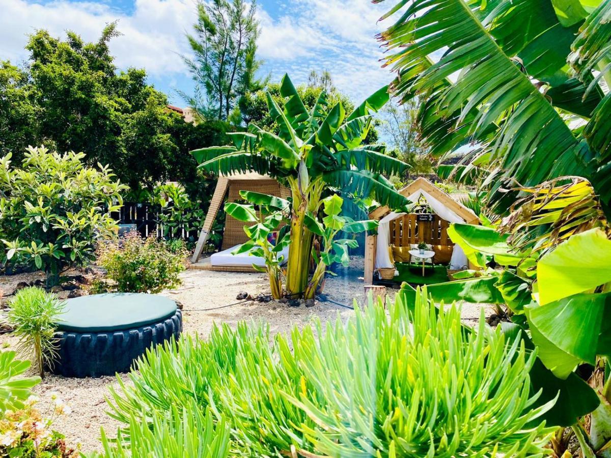 Alisios Hot Tub, Piscina Y Naturaleza Buzanada Dış mekan fotoğraf